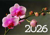Календарь настенный квартальный на 2026 год, "Орхидея", 3 мет. пружины, курсор