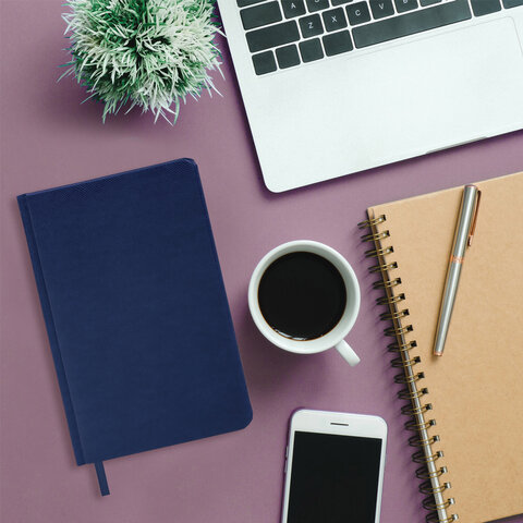 Ежедневник недатированный А5 138x213 мм, 160л. BRAUBERG "Iguana", под кожу