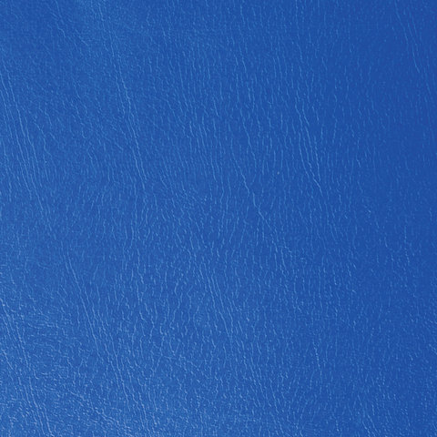 Тетрадь А4 96 л. клет. "Бумвинил" скоба, офсет №2 ЭКОНОМ, клетка, STAFF, синий