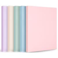 Папка-скоросшиватель на 40 карманов "Deli Pastel" пласт., ассорти