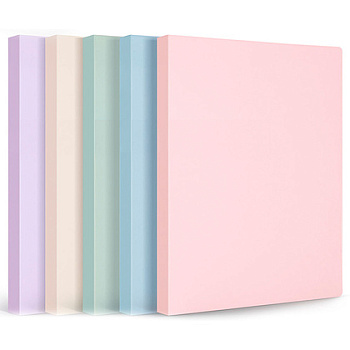 Папка-скоросшиватель на 40 карманов "Deli Pastel" пласт., ассорти