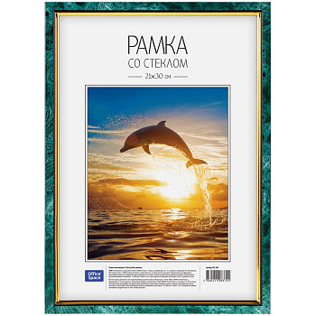 Рамка пластиковая OfficeSpace, №6