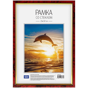 Рамка пластиковая OfficeSpace, №6