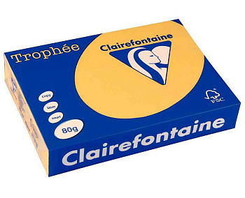 Бумага Clairefontaine Trophée A4 пастель 80 г/м2 500 листов